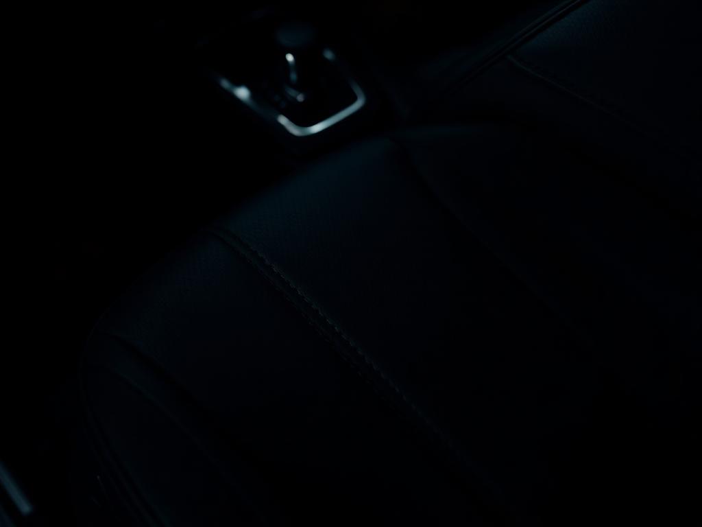 Conditioned leather and dashboard detail after interior restoration